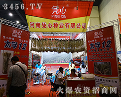 ���ϑ{�ķN�I(y��)ʢ�b��չ2015���ݷN�ӽ��ו�