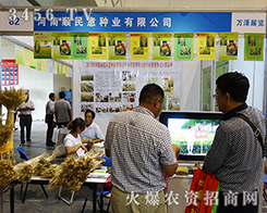 ����ʡ�����N�I(y��)���޹�˾����2015���ݷN�ӽ��ו�-2015����ʡ�ļ��N����Ϣ�����߮a(ch��n)Ʒչ�[��