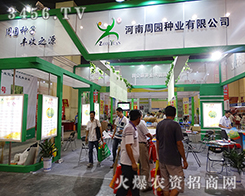 �����܈@�N�I(y��)��������2015�����ļ��N�ӕ�