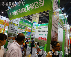 ����̩�̷N�I(y��)��2015���ݷN�ӕ������չ�