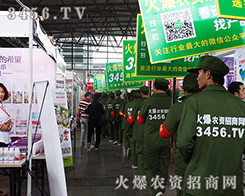 ���߰���������