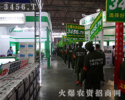 2015�������N�ӽ��ו�(hu��)�㌑(xi��)������