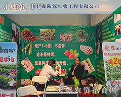 ���_���Դ�����Aף2015�����r(n��ng)�����A�M�ɹ�