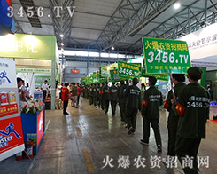 ���r(n��ng)�Y���̾W(w��ng)�ɐ۵đ�(zh��n)ʿ����չ�����߱�ÿһ�����������ĵط�