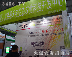 �����G�̌��o��ӡ�������