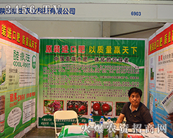 ����S���r�I(y��)�Ƽ����޹�˾����2015�����r����-2015��12�������r�Y���[��