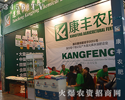 �\���п��S�r�ʿƼ����޹�˾����2015�����r����-2015��12�������r�Y���[��