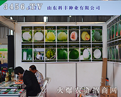 ɽ�|���S�N�I(y��)����2015���������r(n��ng)������