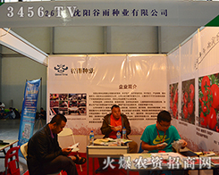 ��ꖹ���N�I(y��)���2015�����r(n��ng)�Y���̘���