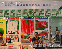 ��h���d�N�I(y��)һ���������L(f��ng)����!