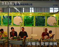 �㽭ʡ�������S�N���|(zh��)���Q��һ����