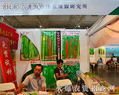 �꾩�����о����������ӡ��