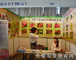 ��Ȫ���𰲷N����2015�����r(n��ng)�Y�������P�ķ�