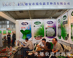 �������r(n��ng)�߲˷N���ل�(chu��ng)�x��