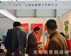 ���ϳ���N�ӝM�d���w��