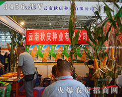 ������c�N�I(y��)�îa(ch��n)Ʒ����Ӳ������