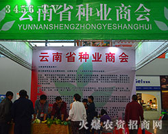 ����ʡ�N�I(y��)�f(xi��)���ٴ��A������