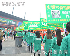 3456.TV�������˵�˲�g��