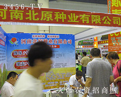 �R�}�h��ԭ�N�I(y��)��˾���ڰl(f��)�]�Լ��ď�(qi��ng)�(xi��ng)