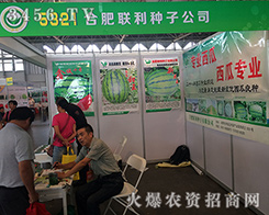 �Ϸ�(li��n)���N���³�����2016�����r(n��ng)����8�������e�k��