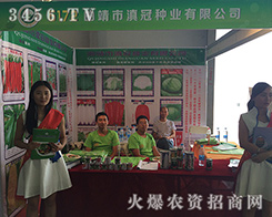 �����е�ڷN�I(y��)���޹�˾�e�O����2016�������r(n��ng)�Y��