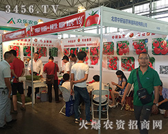 �����������r(n��ng)�N����2016�������r(n��ng)�Y��(hu��)���u����