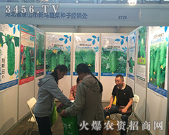 2016�����r(n��ng)�Y������ɽ���R�߲˷N�����ӳ����������șC��