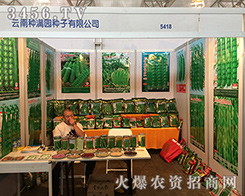 ���ϷN�M�@�N�Ӕy��2016�����r(n��ng)�Y���[�������ի@��