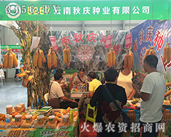 ���^��I(y��)������c�N�I(y��)���қ_��2016�����r(n��ng)�Y���[��