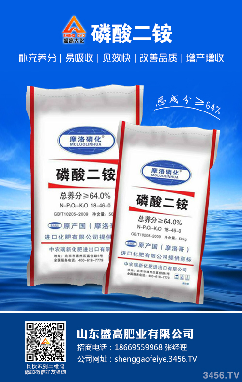 ���@�r(ji��)�񕺟o(w��)����(d��ng)��������@�Ј�(ch��ng)�����(b��o)�r(ji��)