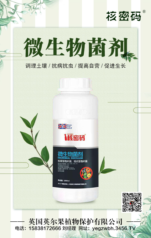 ΢�������