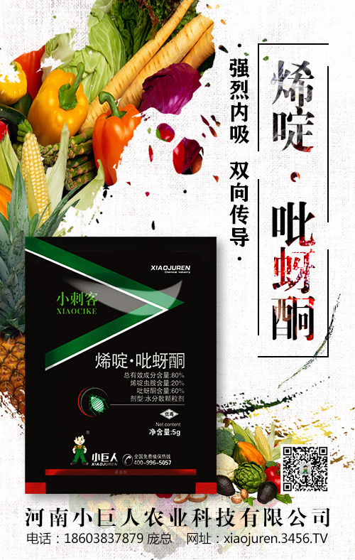 �������x���r(ji��)���(b��o)�r(ji��)��2020-5-22���x���Ј�(ch��ng)�����߄�(sh��)����