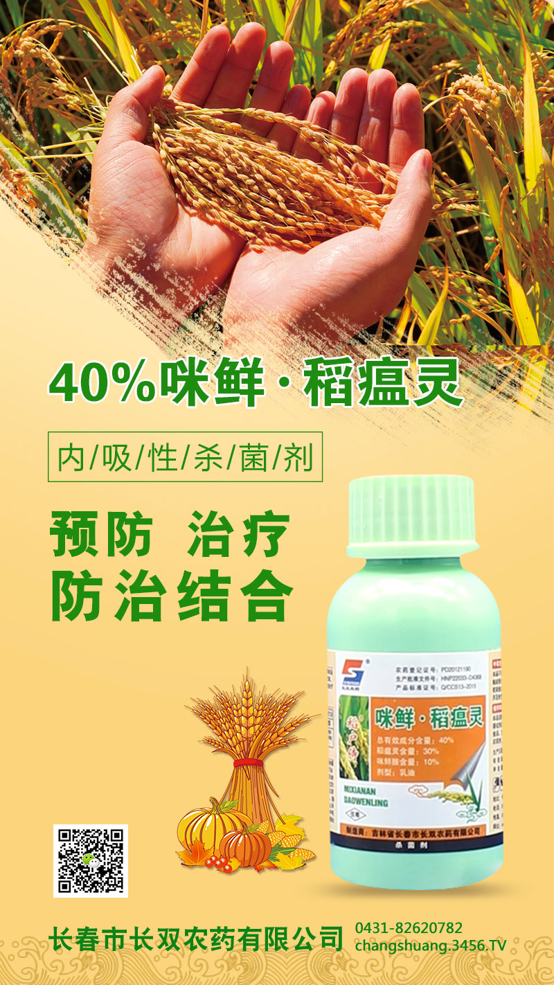 40%���r�������`