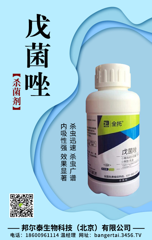 ����򚢾���