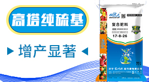 ɽ�|��(j��)����W(w��ng)(li��n)�䷽�����޹�˾