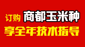 �����̶��N�I(y��)���޹�˾