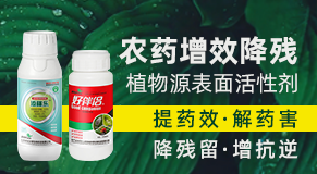 ɽ��������������Ƽ����޹�˾