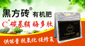 �۹����S���r(n��ng)�I(y��)�Ƽ��l(f��)չ���޹�˾