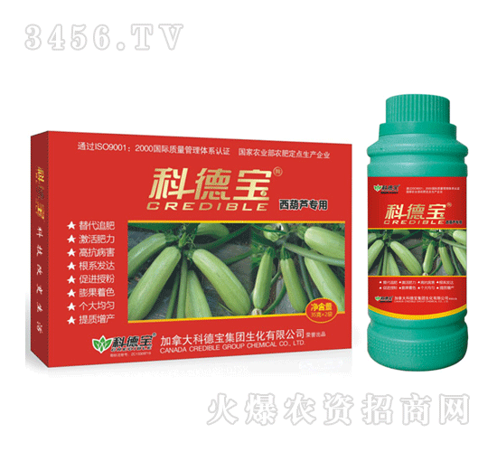 �Ƶ�-�����J����