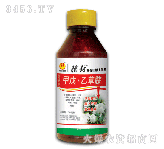 Ĥ��-�����Ҳݰ�