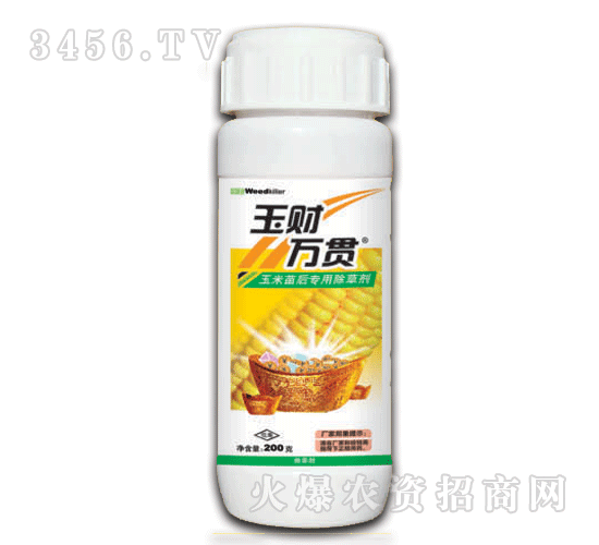 泰陽(yáng)-玉財(cái)萬(wàn)貫