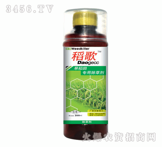 泰陽(yáng)-稻歌