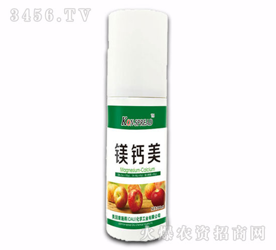 �O���䌣���{��(ji��)��-�V�}��