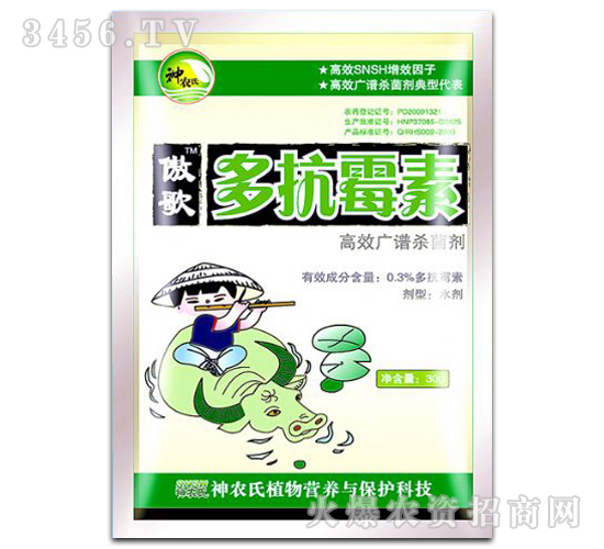 �࿹ù��-����