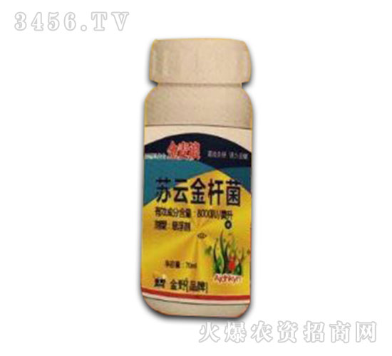 ���x(ch��ng)��-�K�ƽ�U��-������-�����r(n��ng)ˎ