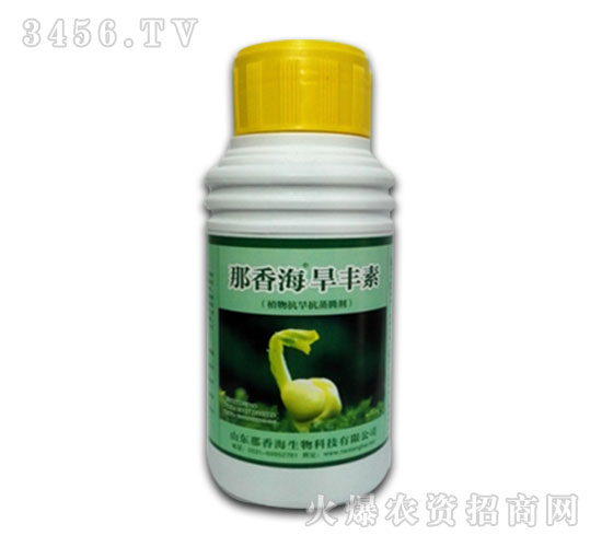 那香海旱豐素-那香海