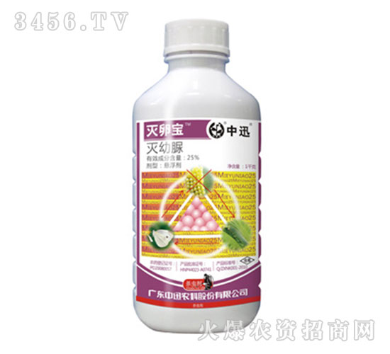 25%�����嚢�x��-���ь�-��Ѹ