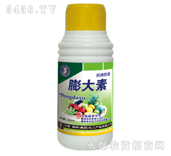 �Ϲ��߲ˌ��������-�������