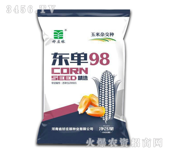 玉雜交種-東單98-好莊稼