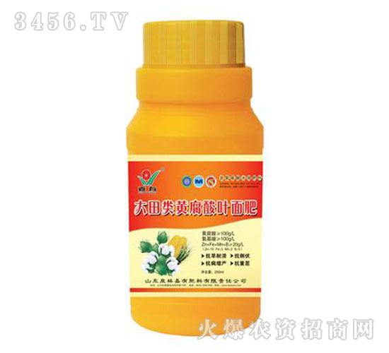 大田類葉面肥（瓶裝）-嘉有